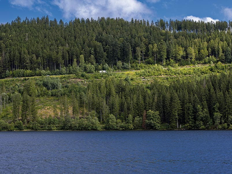 Lake Titisee and the Black Forest, Germany